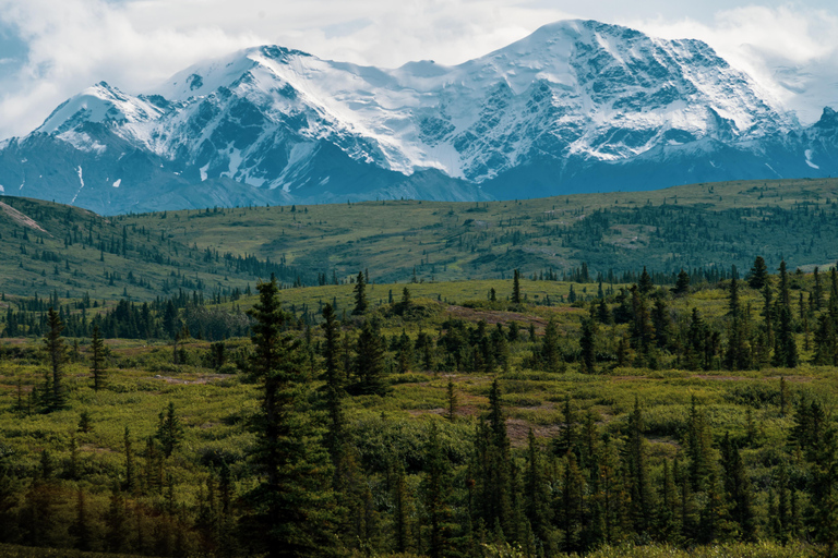 Wild Alaska: Denali Highway Scenic Journey from Fairbanks