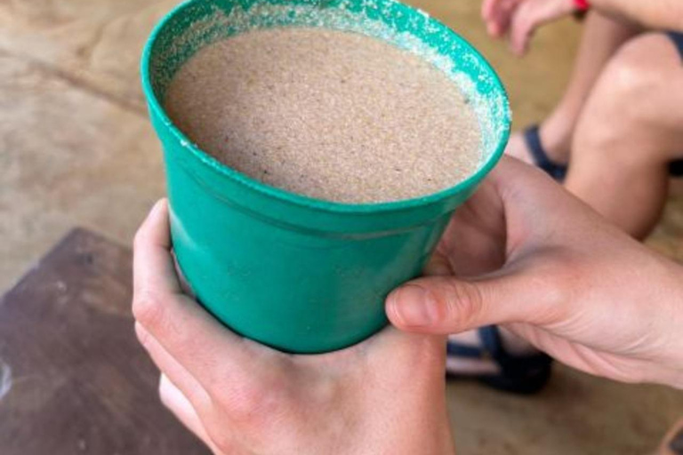 Cascate e pranzo caldo, passeggiata nel villaggio del Kilimangiaro, tour del caffè