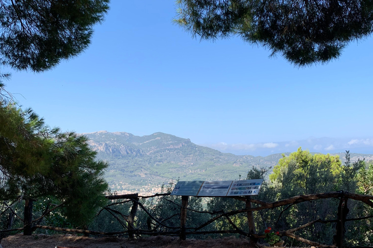 Fornalutx pueblo y senderismo a las montañas granja de olivos