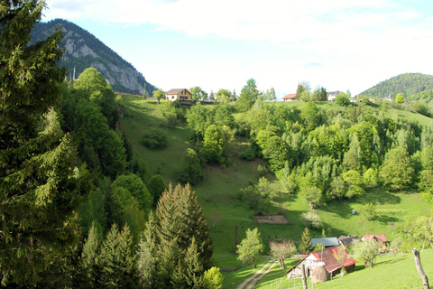 Brașov: Visit a Transylvanian Village Home near Bran Castle From Brașov to a Traditional Village Home in the Bran Area
