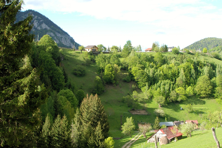 Brașov: Visit a Transylvanian Village Home near Bran Castle From Brașov to a Traditional Village Home in the Bran Area