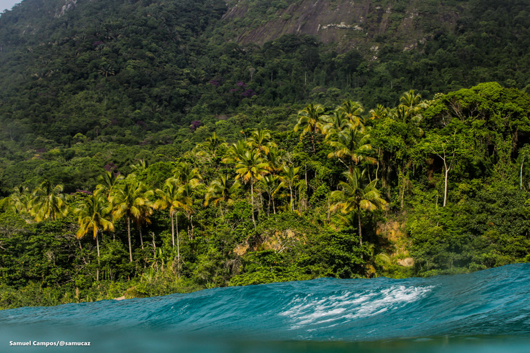 Ilha Grande: Wild Tour