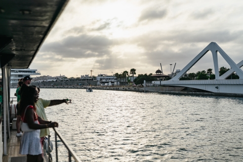Valence : Croisière en catamaran au coucher du soleil avec cocktail