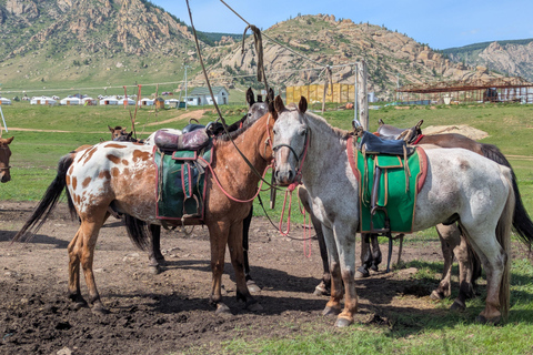 4-Day Authentic Nomadic Family Homestay near the Mini Gobi
