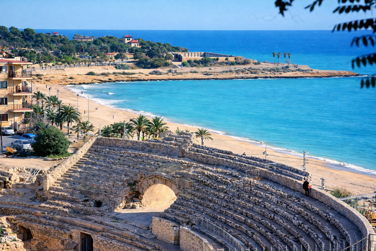 From Barcelona: Tarragona Private Tour with Expert & Driver