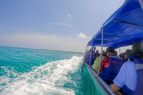 Escape from Cartagena to Isla de Baru and see the Mangroves!