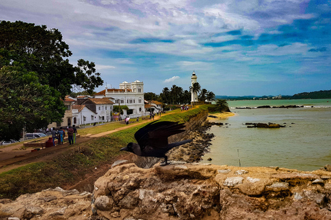 Desde Colombo: Excursión de 2 días a la Vida Salvaje y el Patrimonio de la Costa Sur