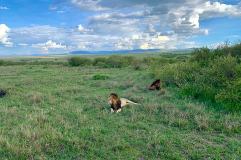 Safari della migrazione degli gnu: Safari di gruppo di 3 giorni