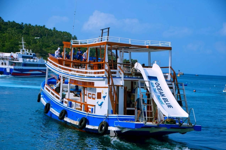 Koh Tao: Snorkel with Turtles at Nangyuan with Fewer Crowds