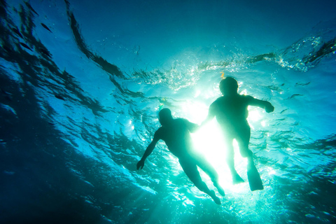 Punta Cana: Excursión de snorkel a la Isla Catalina con almuerzo