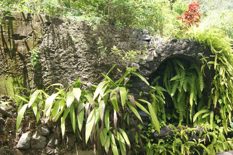 Z Praia: całodniowa wycieczka po wyspie Santiago z lunchemZ Praia: całodniowa wycieczka na wyspę Santiago z obiadem