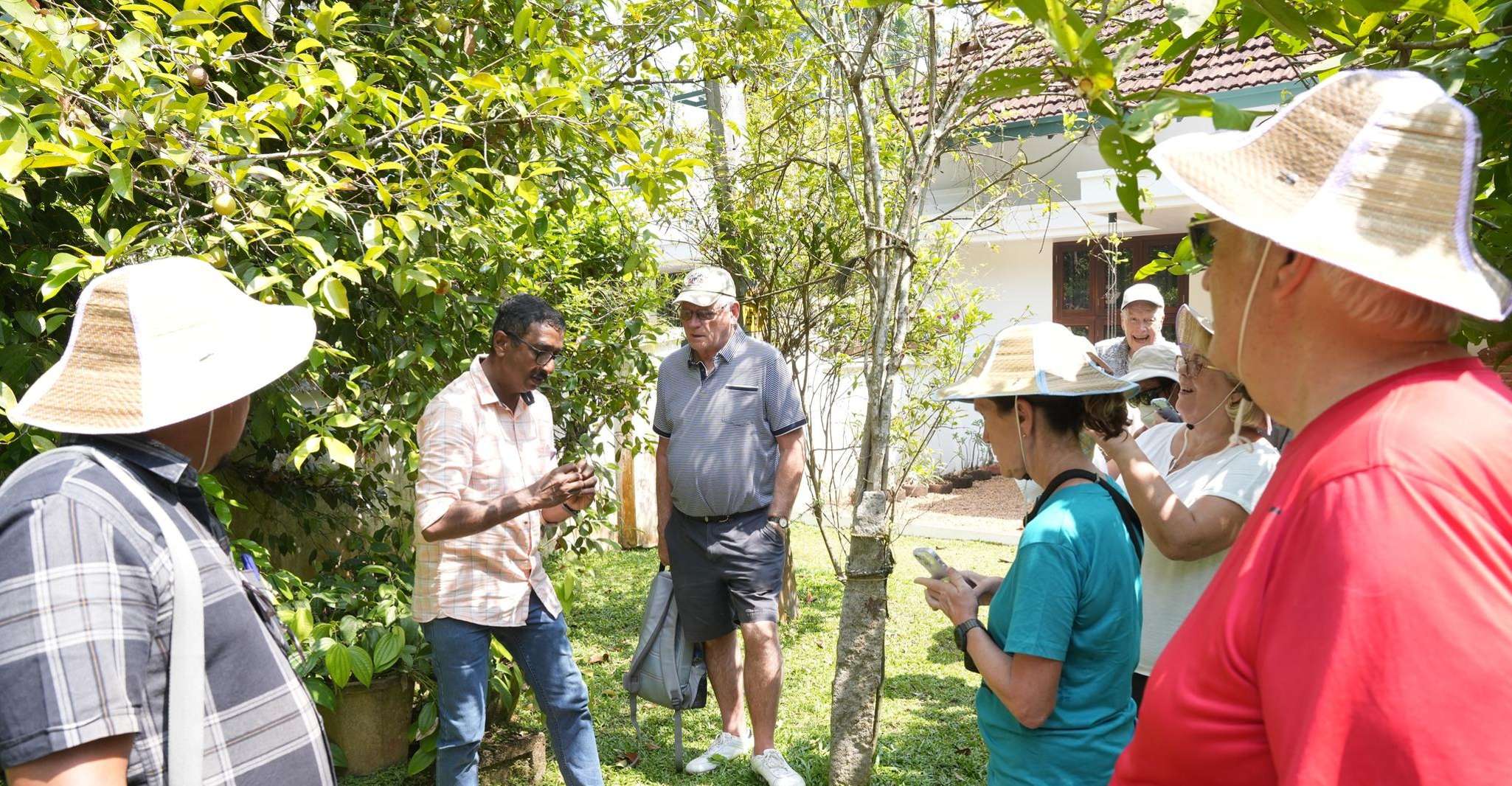 Kumbalangi, visite guidée du premier village touristique de l'Inde - Housity