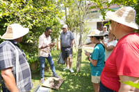 Kumbalangi, visite guidée du premier village touristique de l'Inde - Housity