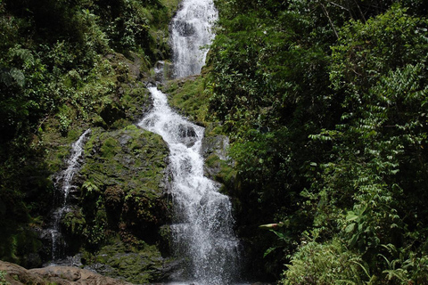 From San José: Pacuare River Rafting Day Trip with Lunch