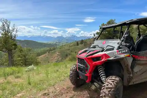 Jackson Hole: Private Curtis Canyon UTV Adventure