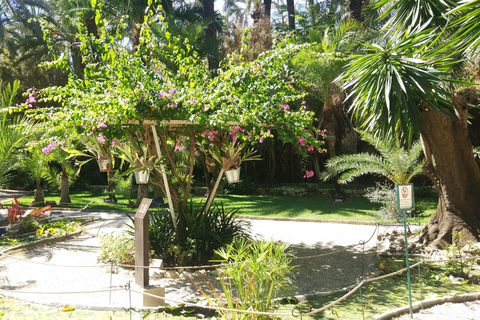 Depuis Alicante : visite du jardin botanique national