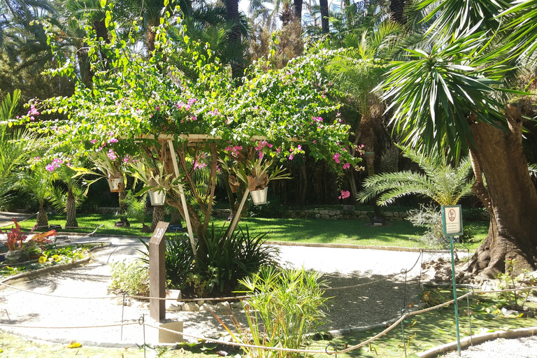 De Alicante: Visita ao Jardim Botânico Nacional