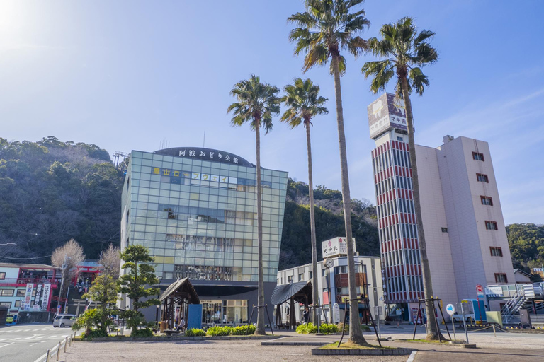 从大阪出发：鸣门漩涡船与阿波舞1日巴士游从大阪出发：鸣门漩涡船和阿波舞 1 日巴士游