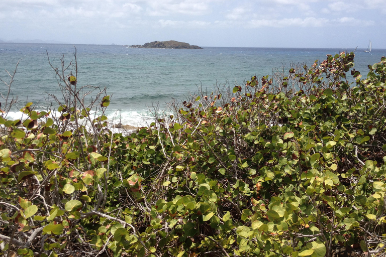 St. Maarten: Guana Bay Coastal Hike