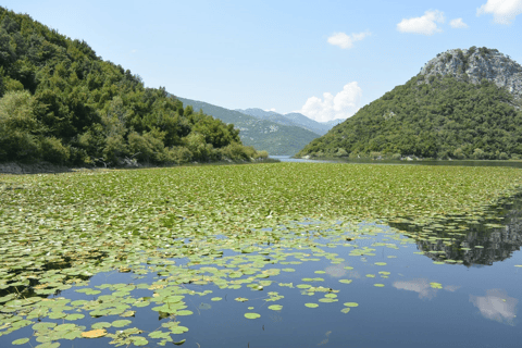 From Tirana and Durres: Tour of Shkodra, Castle and the lake