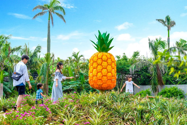 Nago Pineapple Park : Admission with Pineapple Car