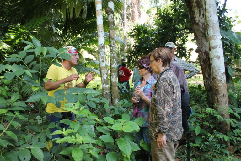 Da Iquitos: Riserva naturale di Pacaya Samiria