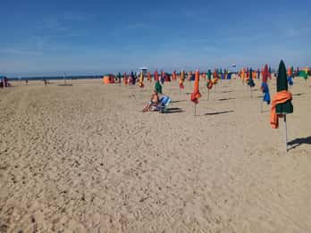 Le Havre and Honfleur