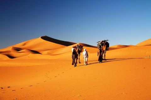 Ab Marrakesch: 3-tägige Wüstentour nach Fes
