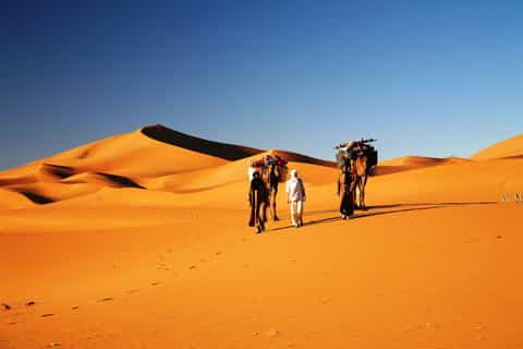 From Marrakech: 3-Day Desert Tour to Fes