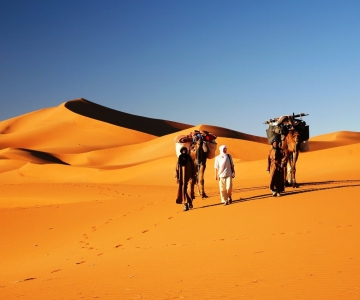 From Marrakech: 3-Day Desert Tour to Fes