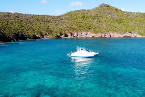 Bequia Day Cruise with Drinks and Photos