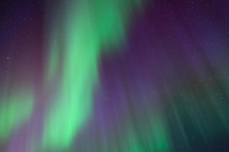 Tromsø: Reindeer Camp Visit & Aurora Chase