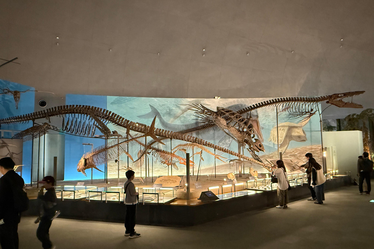 World-Class Dinosaur Museum Tour from Kanazawa