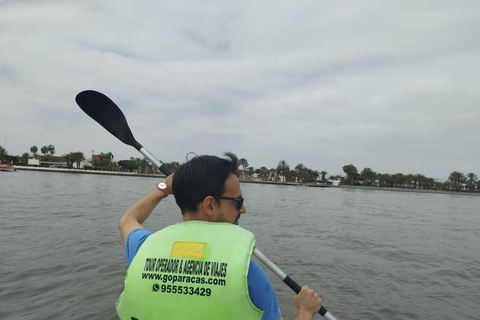 帕拉卡斯湾皮划艇探险帕拉卡斯湾皮划艇探险之旅