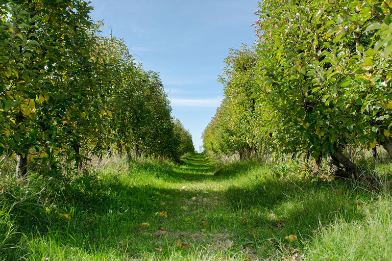 Montevideo: escursione alla zona umida di La Macarena con pranzoEscursione di un giorno alla zona umida della Macarena con pranzo e trasferimento