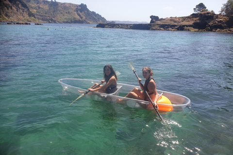 Leigh: Isla de la Cabra 60 minutos de alquiler de kayak transparente