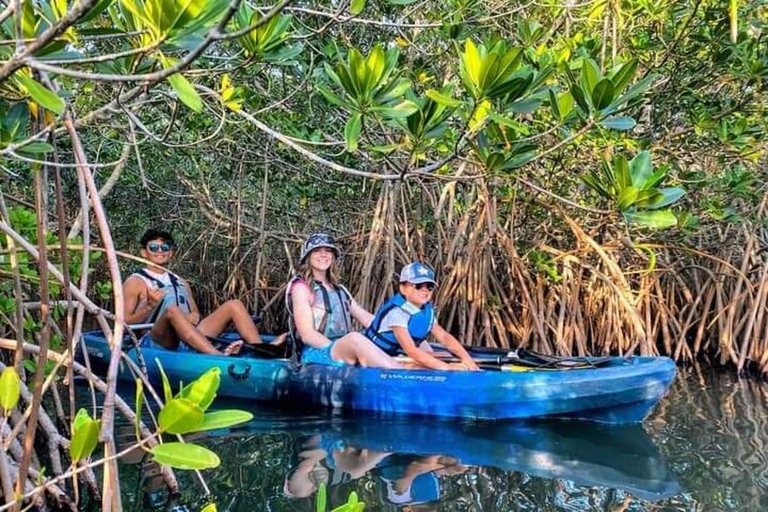 Tour in kayak di 5 ore attraverso la foresta di mangrovie