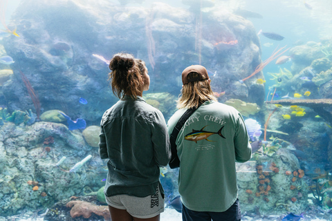 Acuario del Pacífico, LA: ticket sin colas en la taquilla