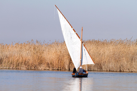 Da Valencia: Tour privato dell&#039;Albufera, Paella e giro in barcaDa Valencia: Tour dell&#039;Albufera con Paella, giro in barca e passeggiata