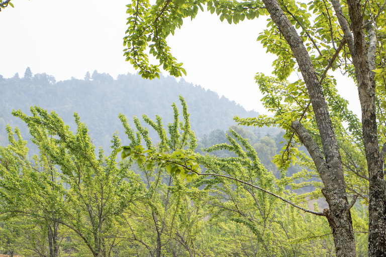 Katmandú: excursión de un día a Chitlang, cata de vinos y breve caminataÚnete (grupo de 2 o más personas)