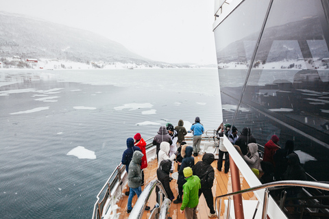 Tromsø: boottocht in fjord met hybride-elektrische catamaranTromsø: boottocht in fjord met elektrische catamaran