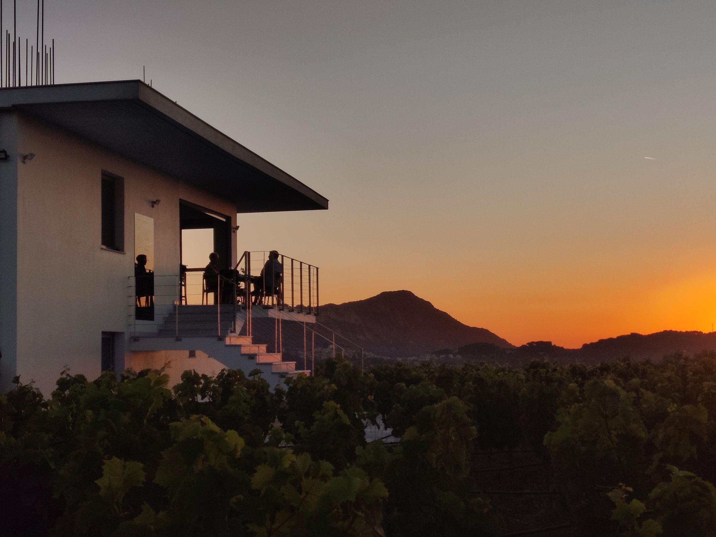 Samos: Weinprobe im Bio-Weingut Kostaki