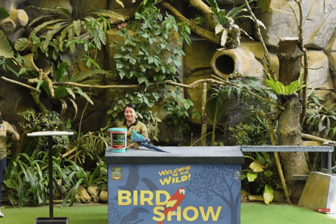 Cebu Safari: Experience Wildlife Up Close