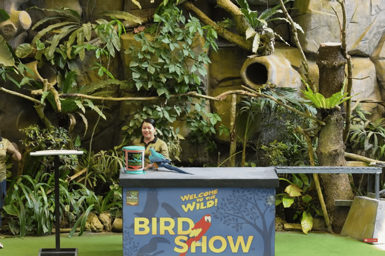 Cebu Safari: Experience Wildlife Up Close