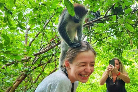 Zanzibar: Jozani Forest, Butterfly Center & Mtende Beach No HmHotel pickup and drop-off all included