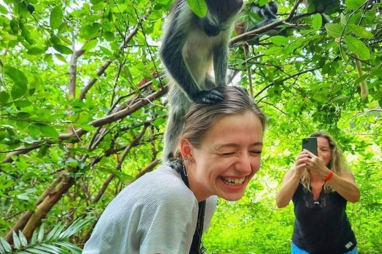 Zanzibar: Jozani Forest, Butterfly Center & Mtende Beach No HmHotel pickup and drop-off all included