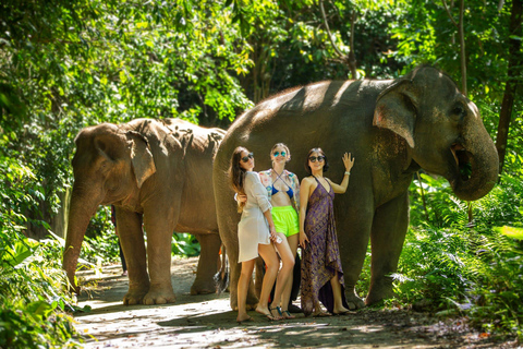 Phuket: Half‑Day Elephant Care Experience Including Lunch