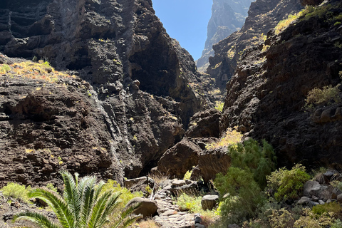 Masca Gorge Guided Hike + Boat Ride + Transport