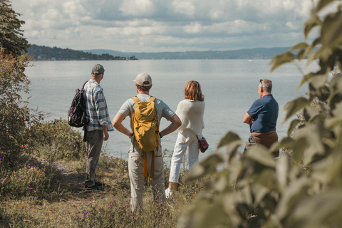 Oslo: Excursão pelas ilhas