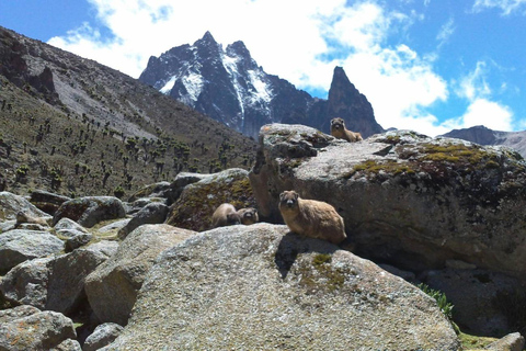 4 Tage Mt. Kenia Klettersafari
